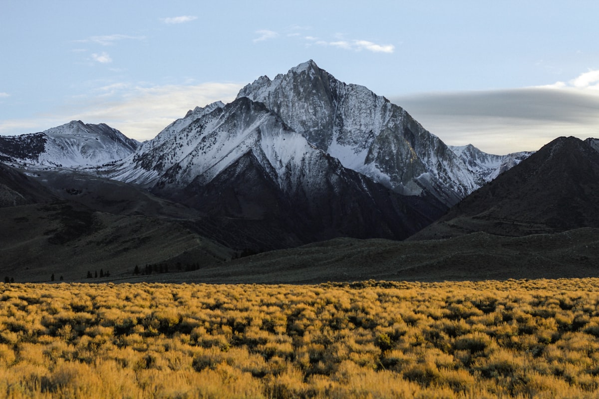Trek